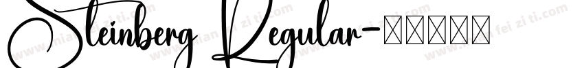 Steinberg Regular字体转换